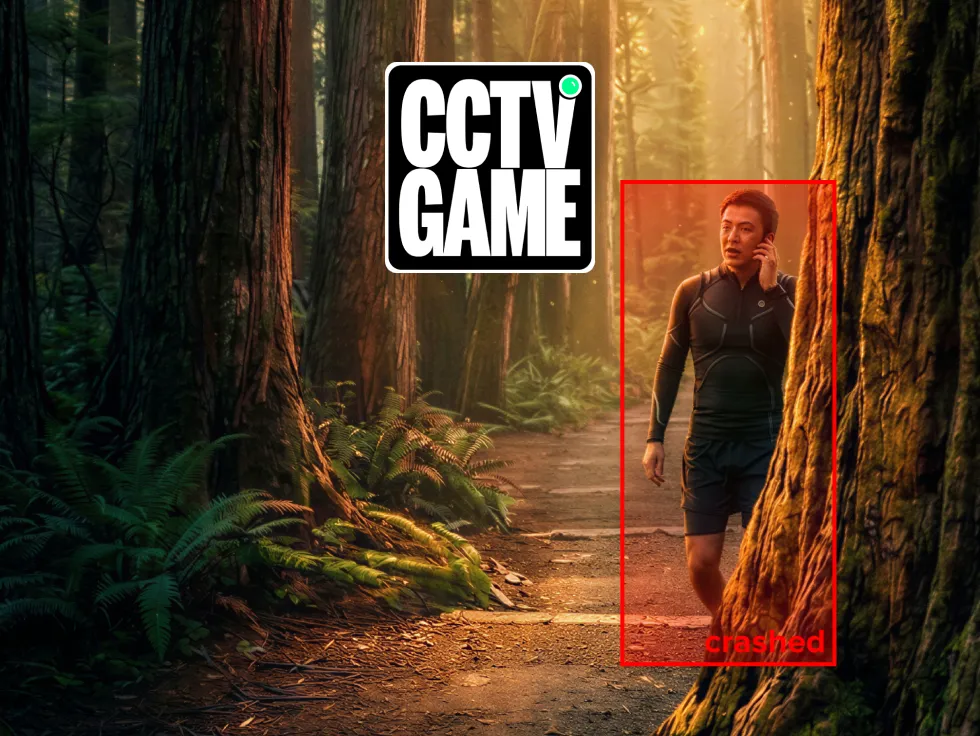 CCTV Game